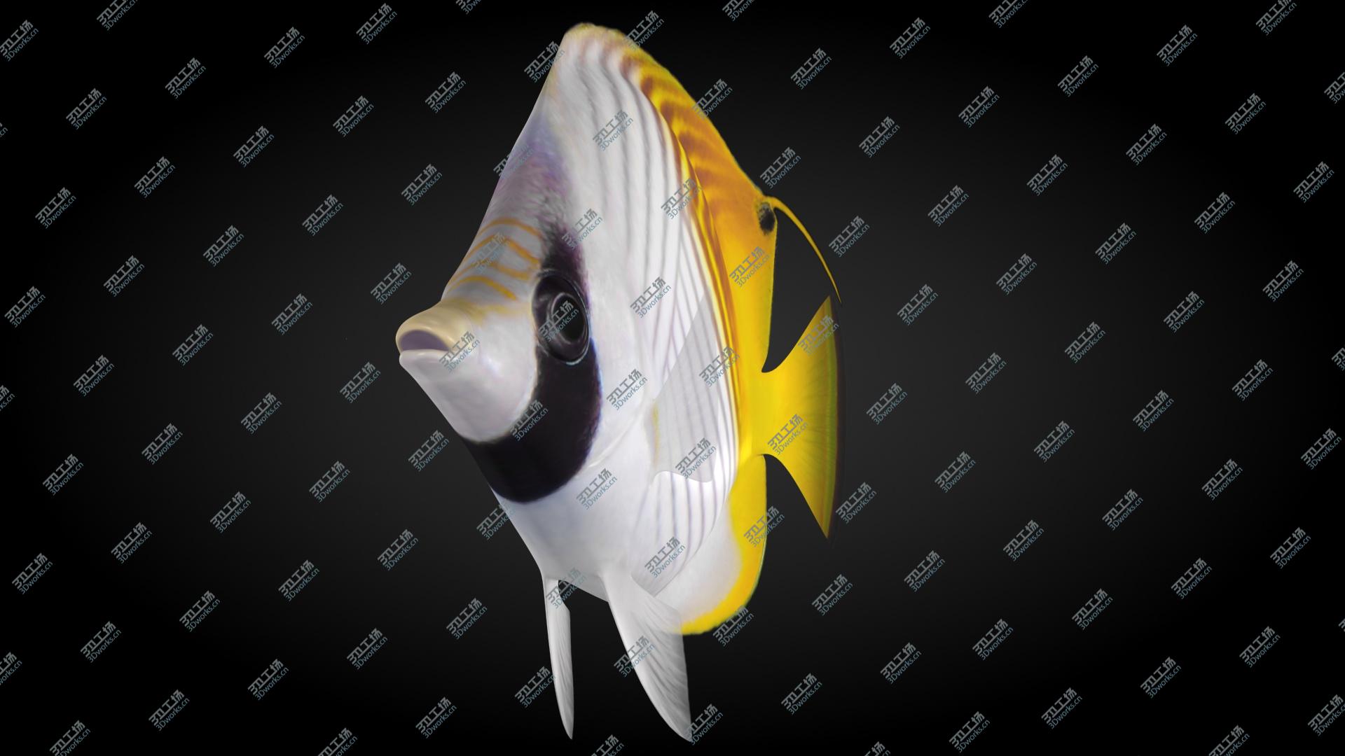 images/goods_img/202105074/3D Threadfin Butterflyfish Animated/4.jpg
